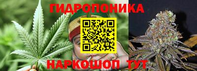 бошки Краснодар