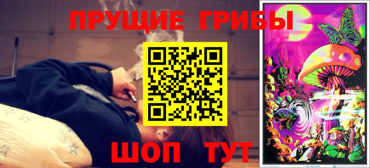 Псилоцибиновые грибы Psilocybine cubensis  Галлюциногенные грибы прущие грибы  Вход с VPN  Карталы 